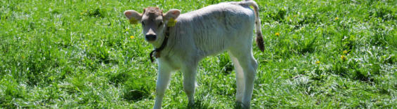 geboren am 8. April 2019