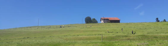 geboren am 8. April 2019